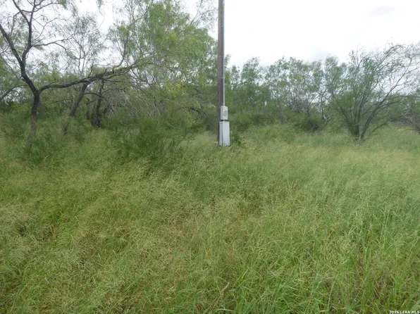 4253 E Fm 462 LOT TRACT, Moore, TX 78057
