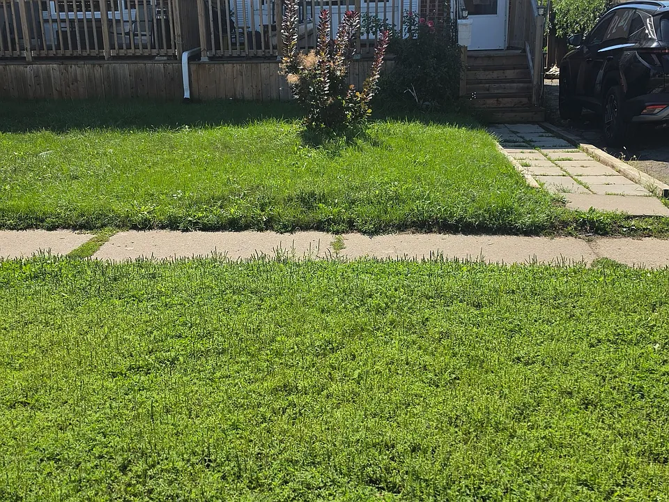 59 Russett Ave