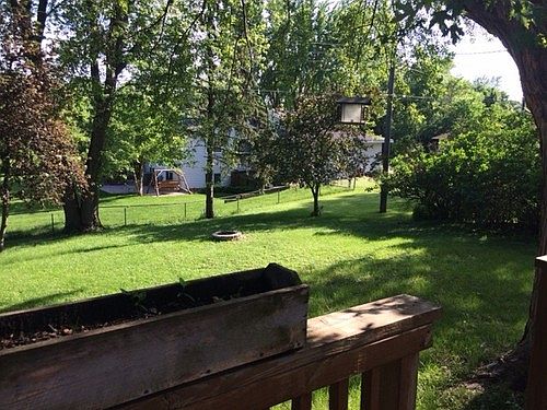 5th image of 11621 Shady Oak Dr