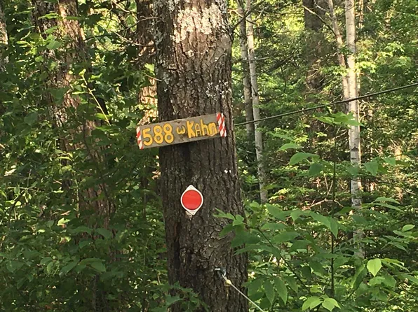 588 Kahn Dr, Mikado, MI 48745