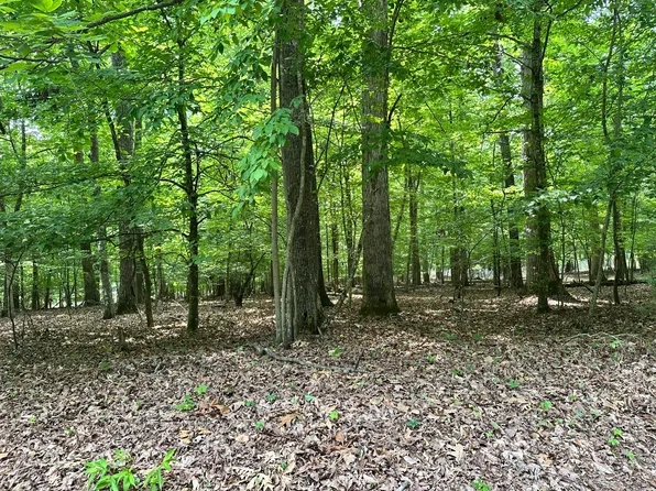 8 Woods Ridge Rd, Dandridge, TN 37725