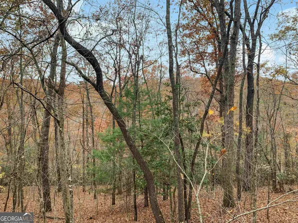 21 22 Creek Ridge Rd, Mc Caysville, GA 30555