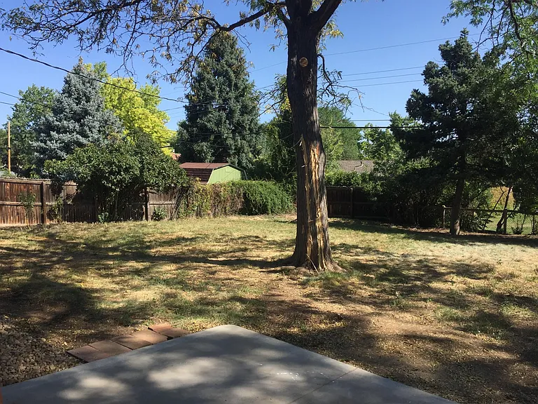 6566 S Kit Carson St — Photo 8