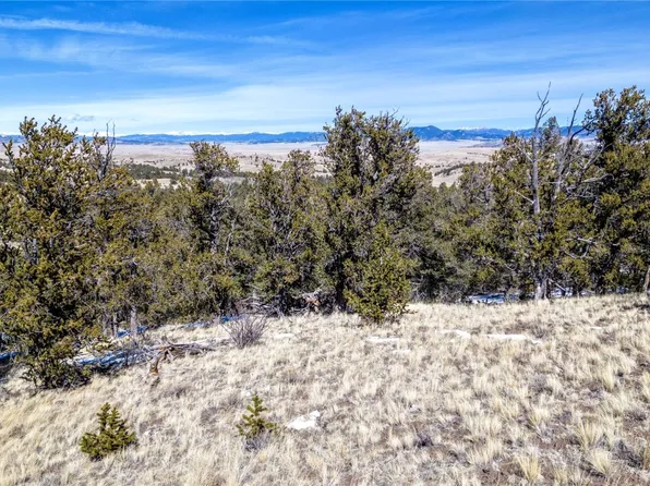 774 Kuipers Drive, Hartsel, CO 80449