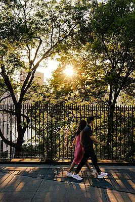 Rented by Two Trees | media 10