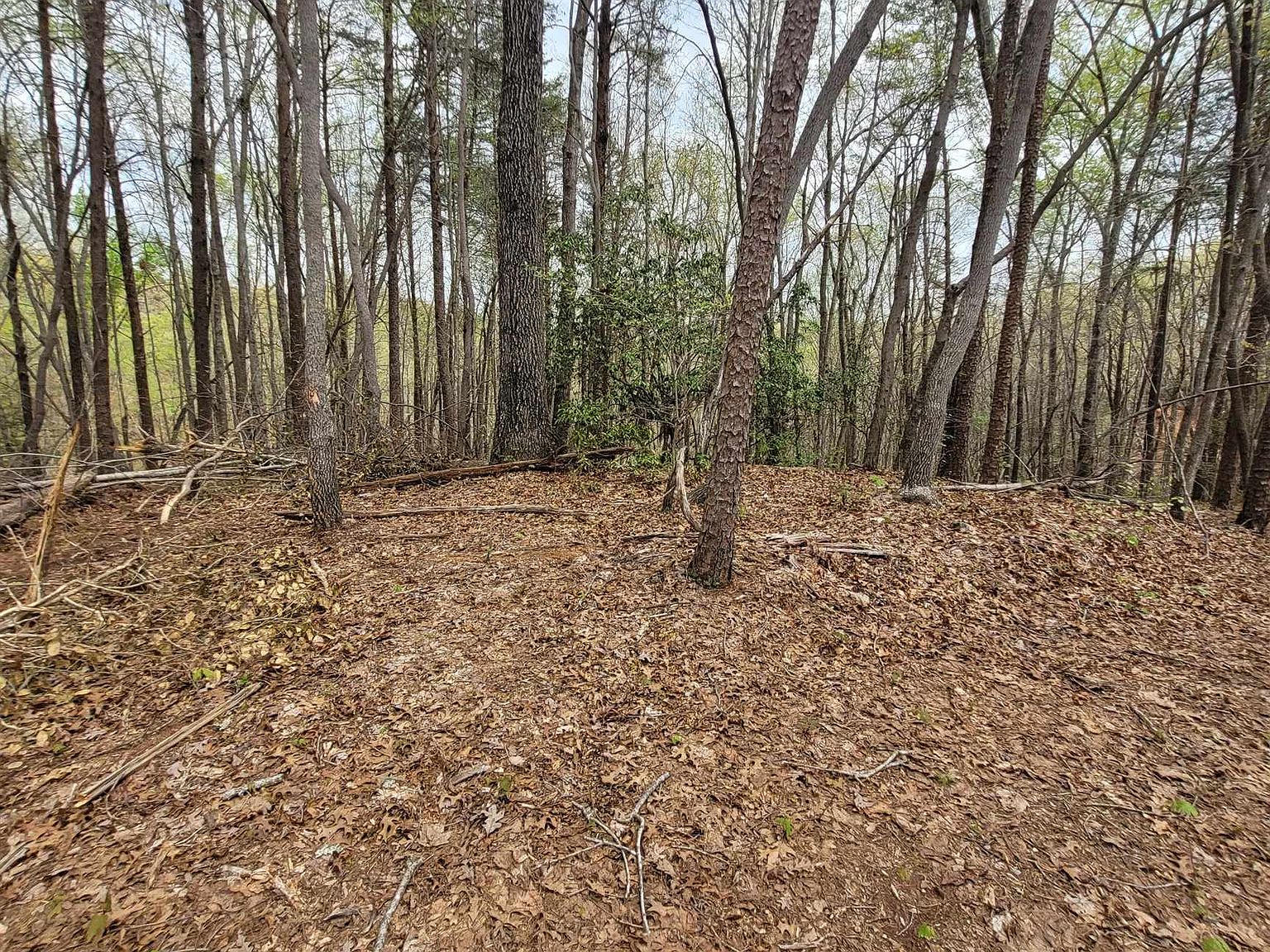 TRACT 7 Auraria Rd TRACT 7, Dawsonville, GA 30534 MLS 20115963 Zillow