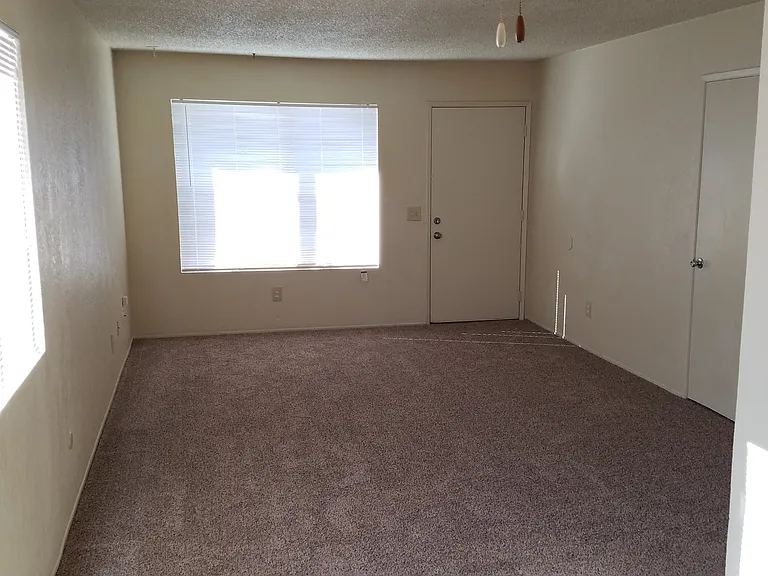 Fresh Carpet