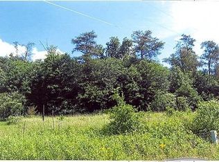 Mineral Springs Trl, Demorest, GA 30535