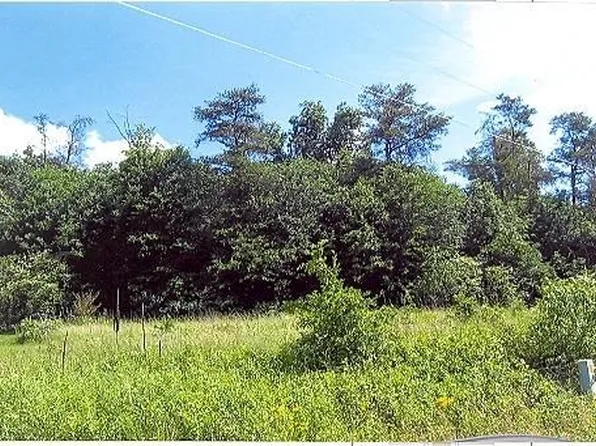 Mineral Springs Trl, Demorest, GA 30535