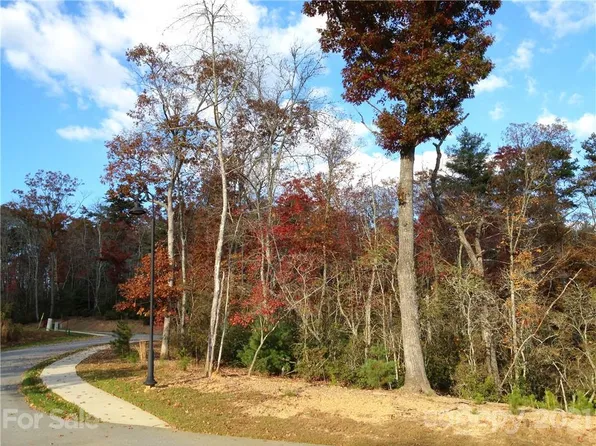 Tbd Springhouse Trl #5, Brevard, NC 28712