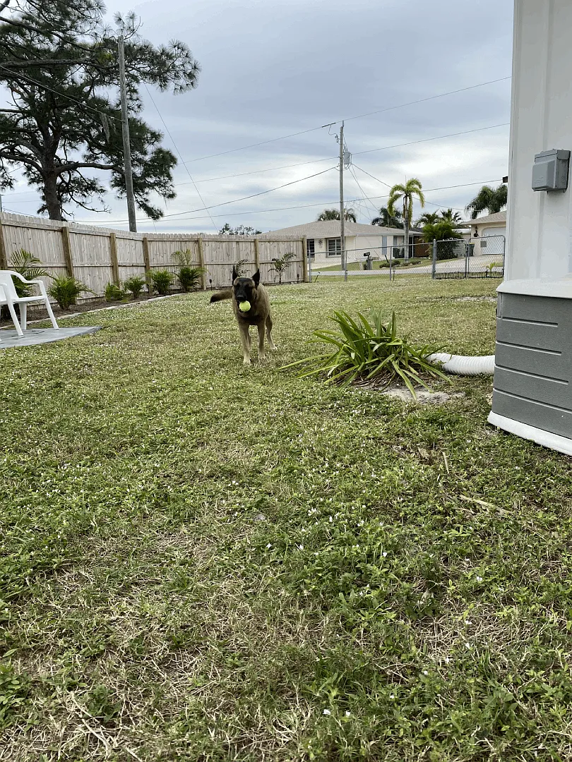 Spring Lake Blvd, Port Charlotte — Photo 4