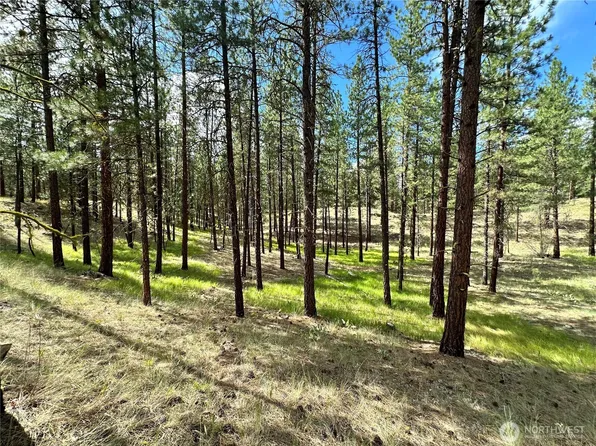 67 Larkspur Drive, Winthrop, WA 98862