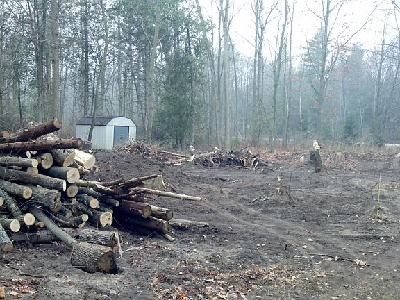 Cleared for building