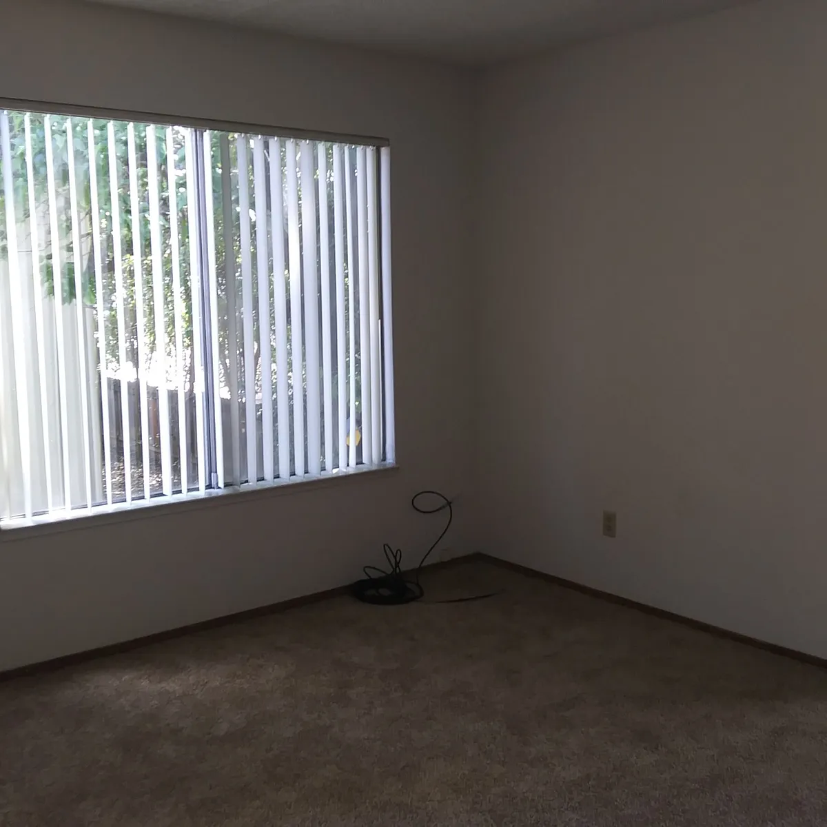 Building Photo - 2223 Edison Ave #13