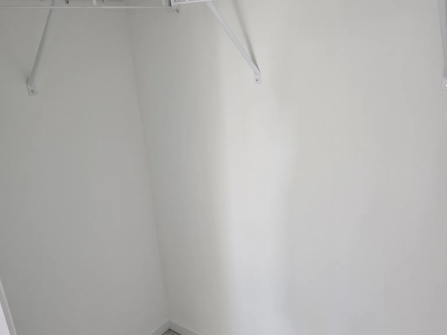 1 bed, 1931 sqft, $900 — Photo 4