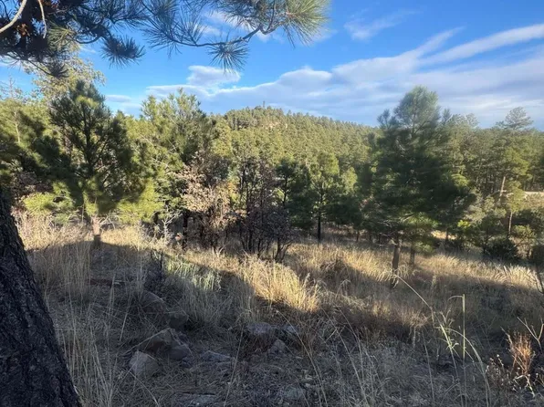 110 Wilshire Rd, Ruidoso, NM 88345