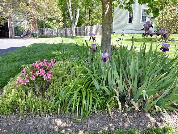 4th image of 4811 Walney Knoll Ct