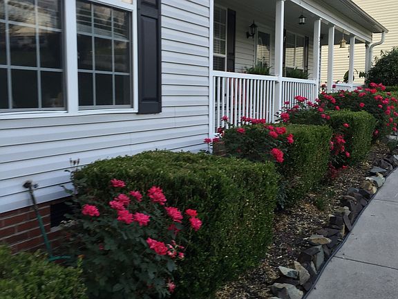 Front Sidewalk
