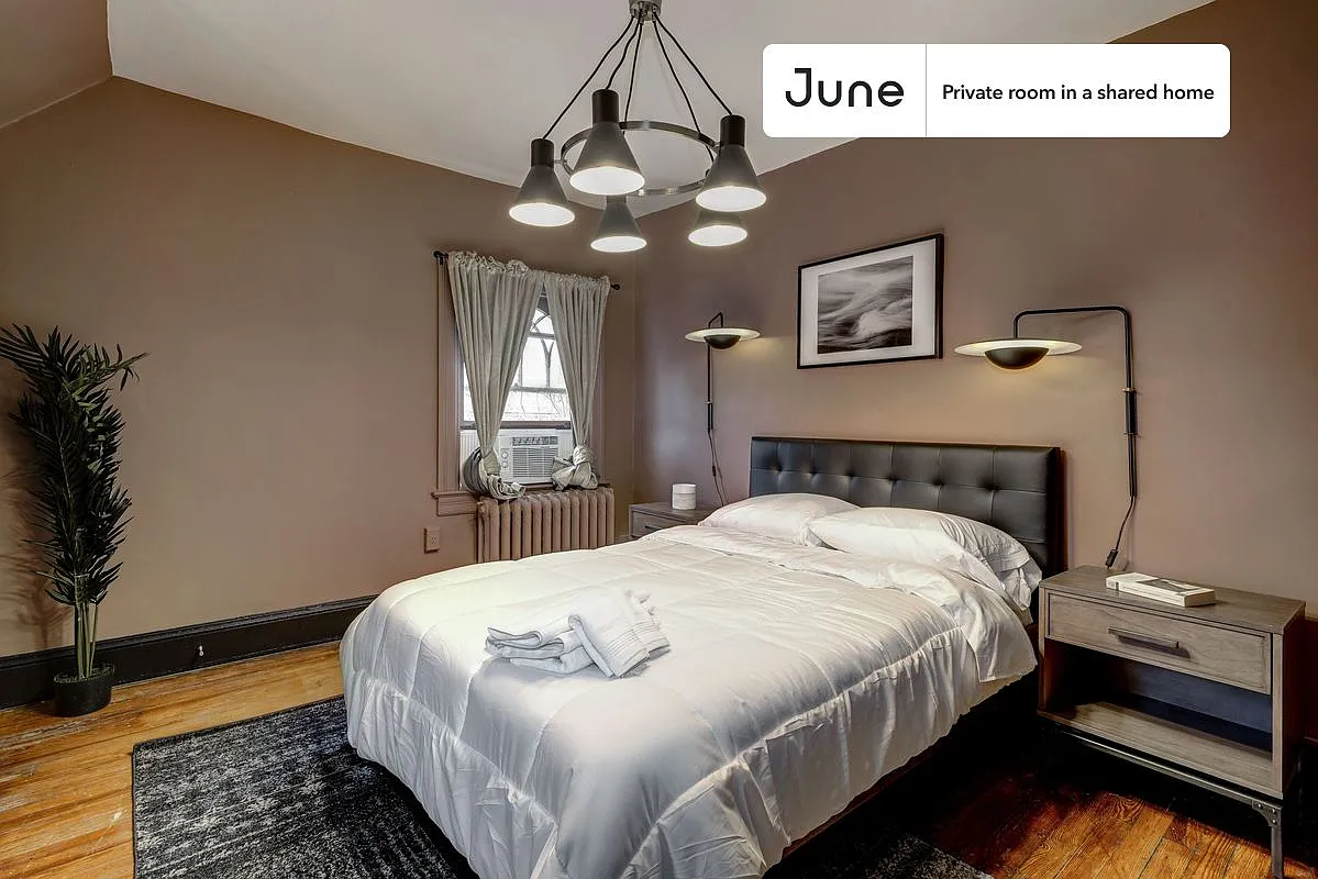Full bedroom in 7 bed/3.5 bath home in Woodley Park #115 3C — Photo 1