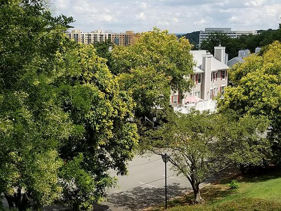 View from Living Room Balcony