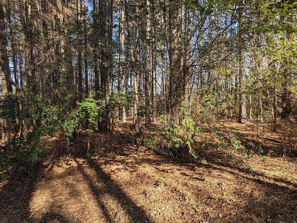 2nd image of 0 T K Allen Rd