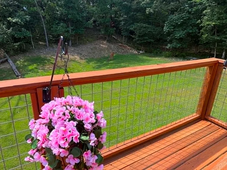 View from back deck