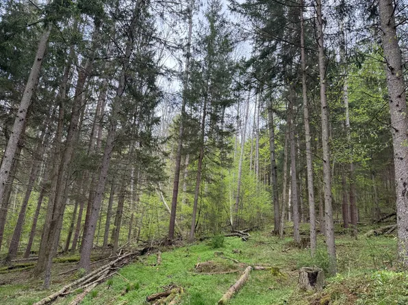 0 Lincoln Ave, Bradford, PA 16701