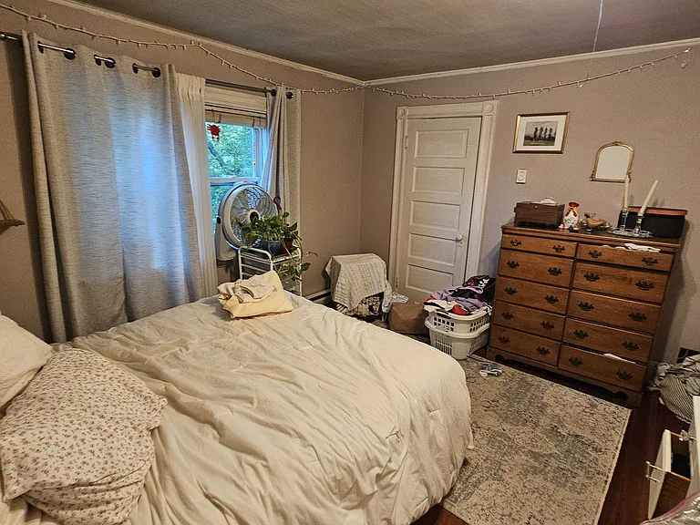 29 Newcastle Rd — Photo 20