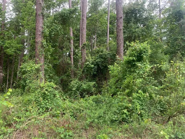 121 Coot Drive, Satsuma, FL 32148