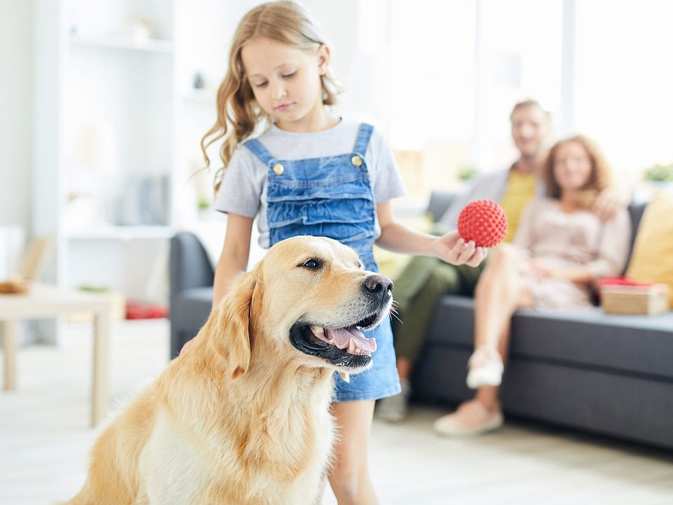 Talichet by Dream Finders Homes in HoweyInTheHills FL Zillow