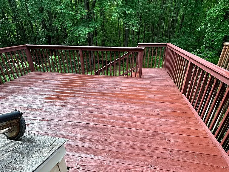 85 Alexis Dr — Photo 20