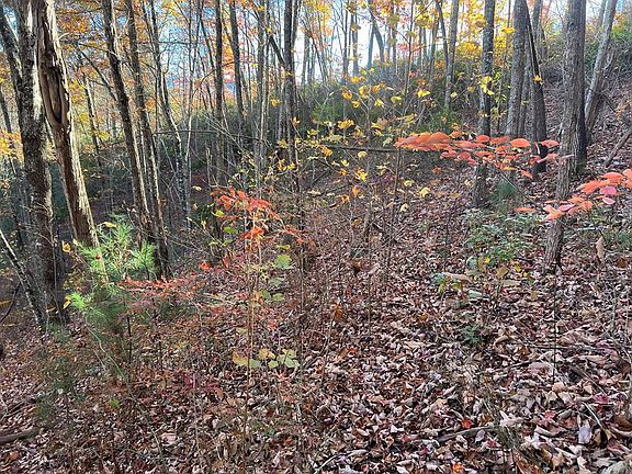 3rd image of 7 Deer Ridge Rd