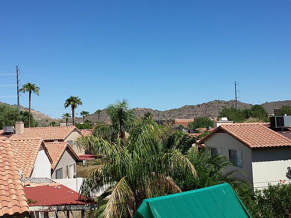 Backyard view