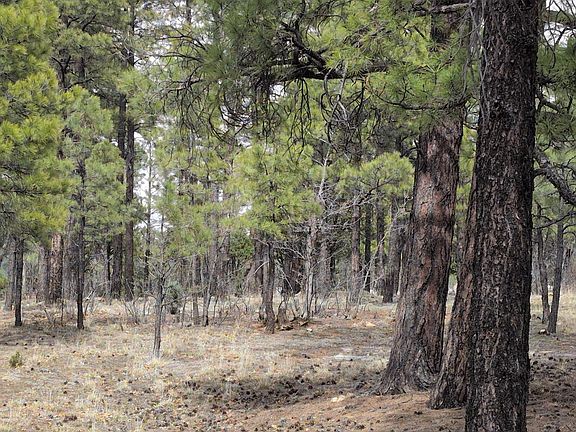 3rd image of 2563 Pine Valley Rd