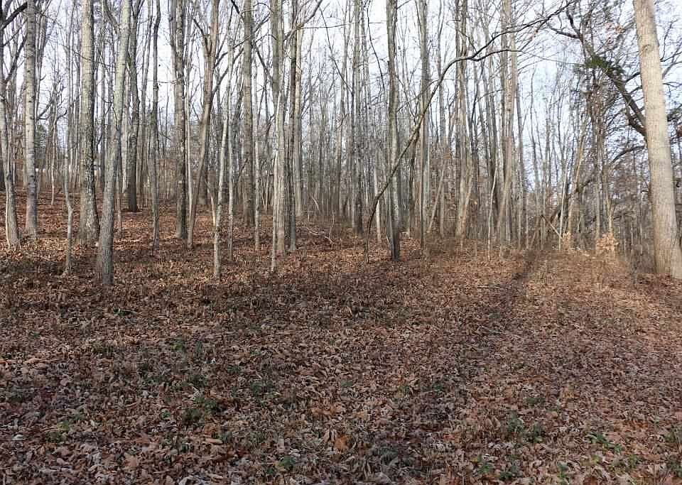 1st image of Dogwood Ln