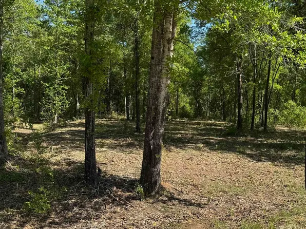 24337 Fm 838, Overton, TX 75684