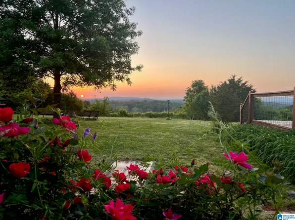 3953 Logan Martin Dam Rd E, Cropwell, AL 35054