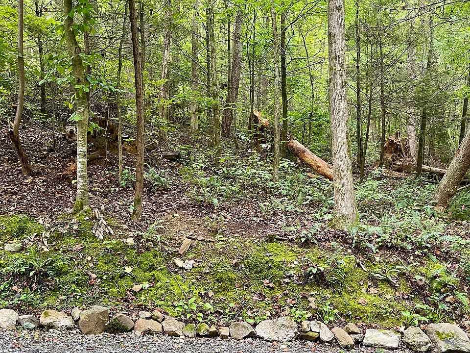 1st image of 28 Walden Cove Way