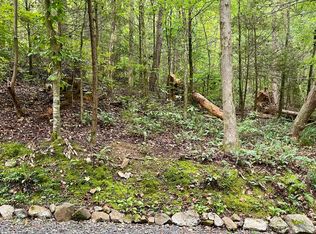 28 Walden Cove Way, Sevierville, TN 37862