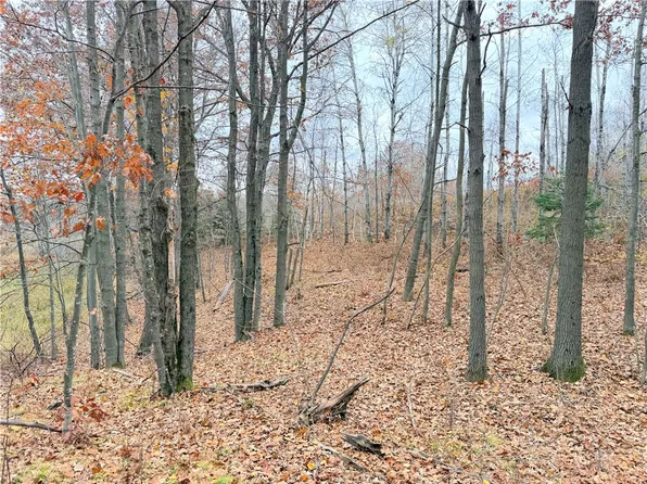 0 Old 14 Road, Weyerhaeuser, WI 54895