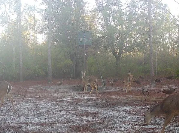 0 SW Wonderwood St, Madison, FL 32340