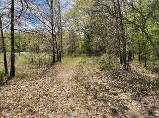 River Rd, Brethren, MI 49619