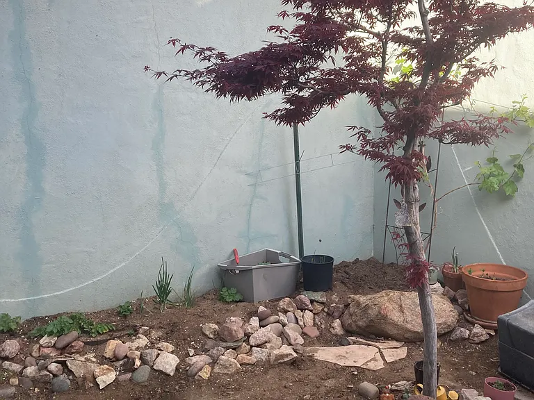 205 Jacob Ln — Photo 12