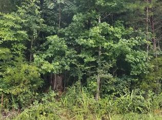 Stump Hollow Rd, Spring city, TN 37381