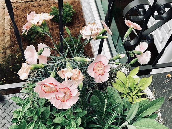 Professionally landscaped