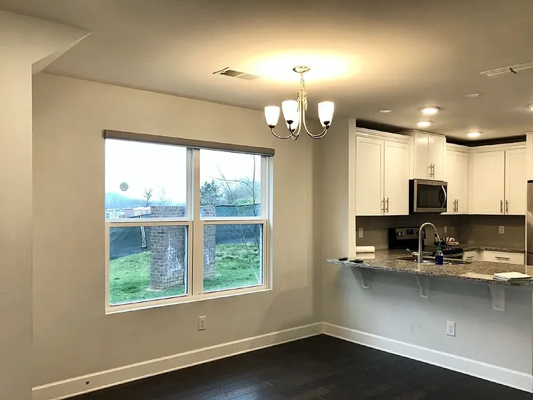 1131 Lilly Valley Way — Photo 6
