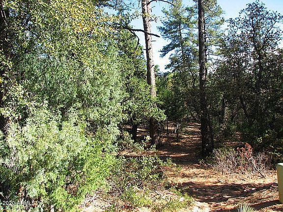 3rd image of 1104 N Button Brush Ct Lot 807