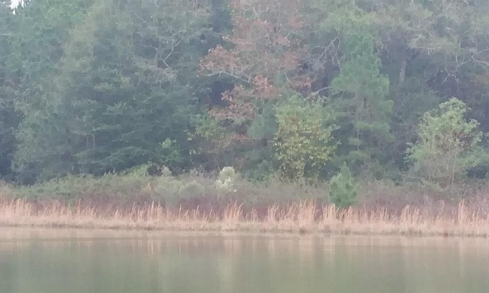 1st image of 21258 Grant Lake Cir