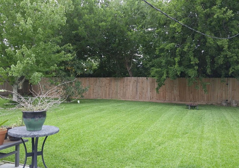Summer time back yard