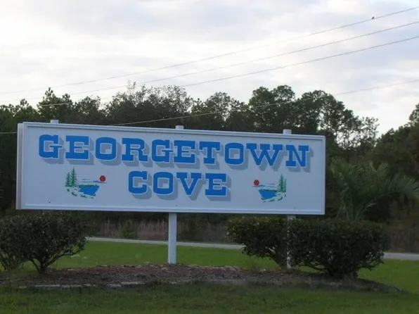 402 Tropical Dr, Georgetown, FL 32139